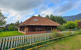 Nature Castle -Traditional Villa,Vattavada